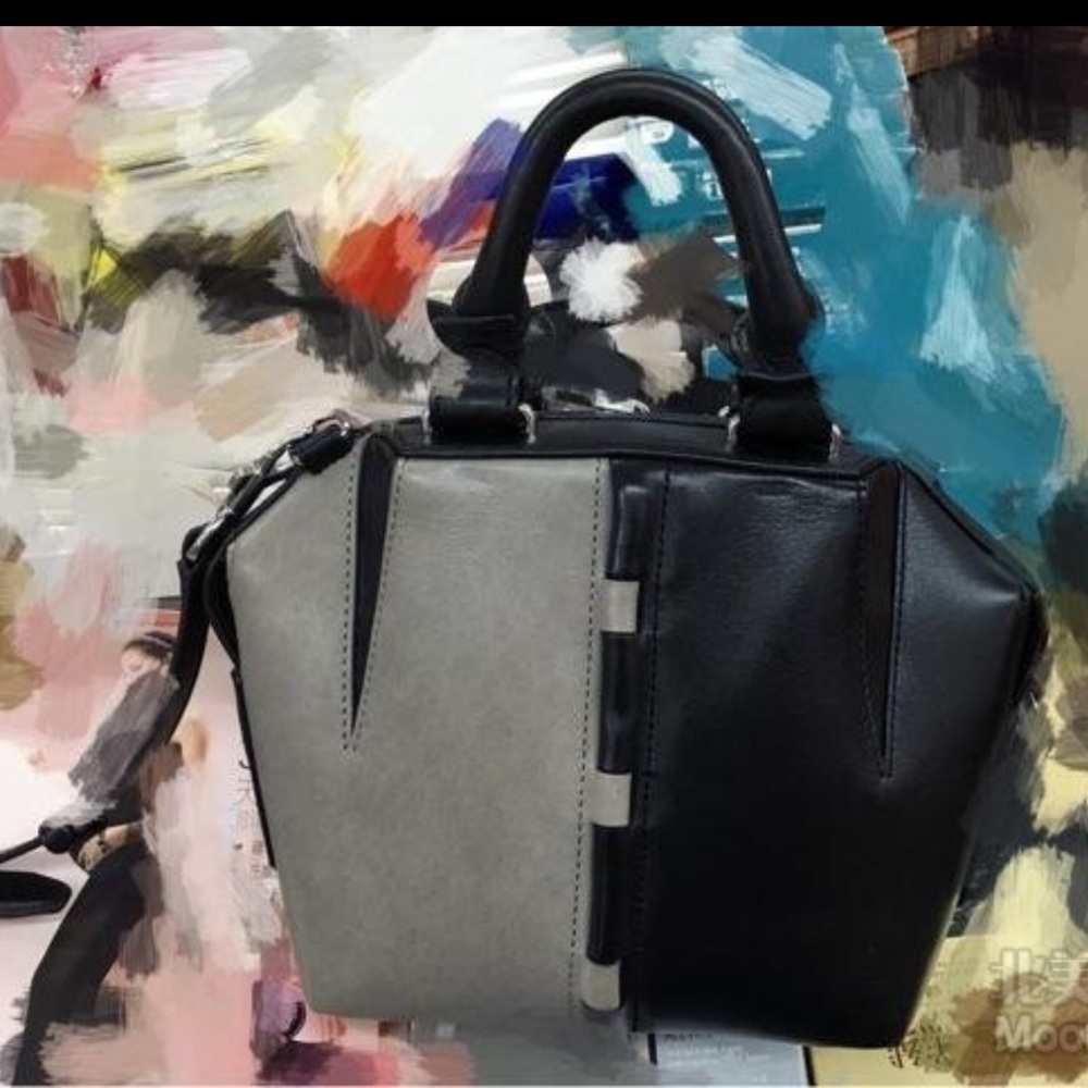 authentic Alexander Wang handbag